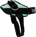 ShawnCo Essential Dog Harness, No-Pull Pet Vest with 3 Leash Clips, No Choke, Reflective, Adjustable and Padded, for Easy Walking and Training for Small, Medium and Large Dogs (Seafoam, XS)