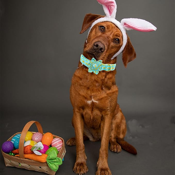 Elegant little tail Easter Dog Collar, Chicken Eggs Dog Collar with Flower Blue Boy Girl Pet Gift Puppy Flowers Adjustable Pet Collars for Medium Dogs