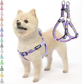 PUPTECK No Pull Easter Dog Harness Soft Adjustable Basic Nylon Step in Puppy Vest Outdoor Walking with ID Tag, Light Purple S