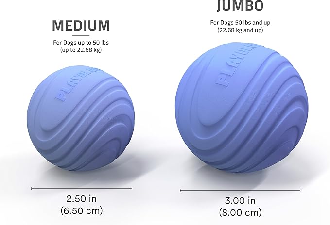 Playology Dog Toys | Dual Layer Ball Durable Chew Toy for Aggressive Chewers | Jumbo Blueberry Scented Toy - Easy to Clean and Made from Non Toxic Materials