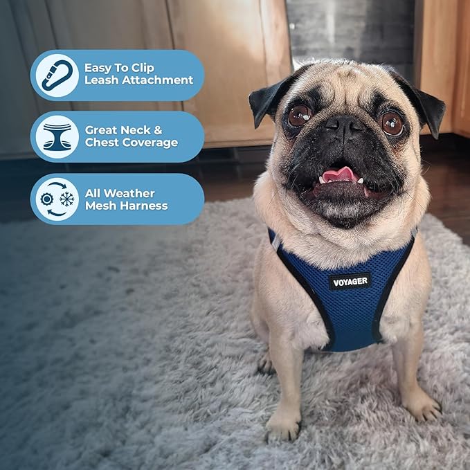 Best Pet Supplies - All Weather Mesh / Plush, Reflective, No Pull Harness for Small, Medium Dogs, Cats - Secure with Hook & Loop Fastener, Buckle, Double D-Rings - Blue/Black Trim, XS