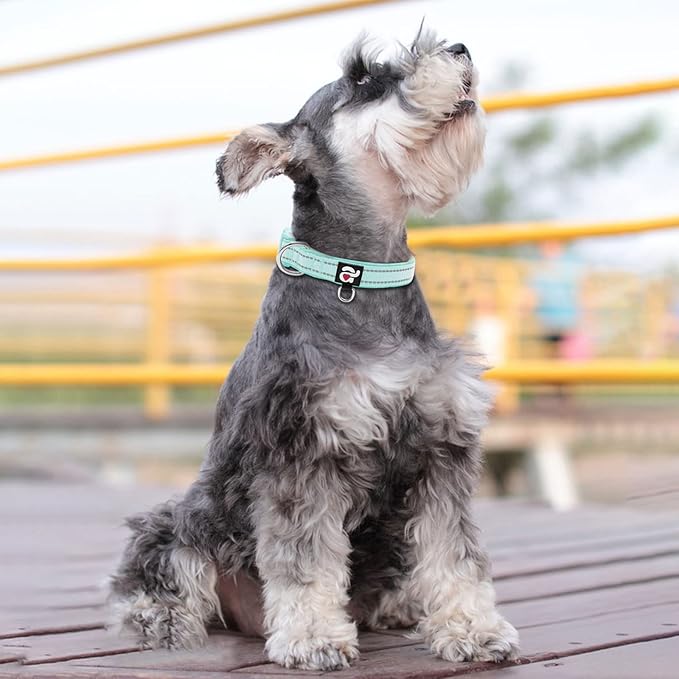 azuza Reflective Dog Collar,Soft Neoprene Padded Pet Collar with ID Tag Ring,Adjustable for Small Dogs,Teal,S