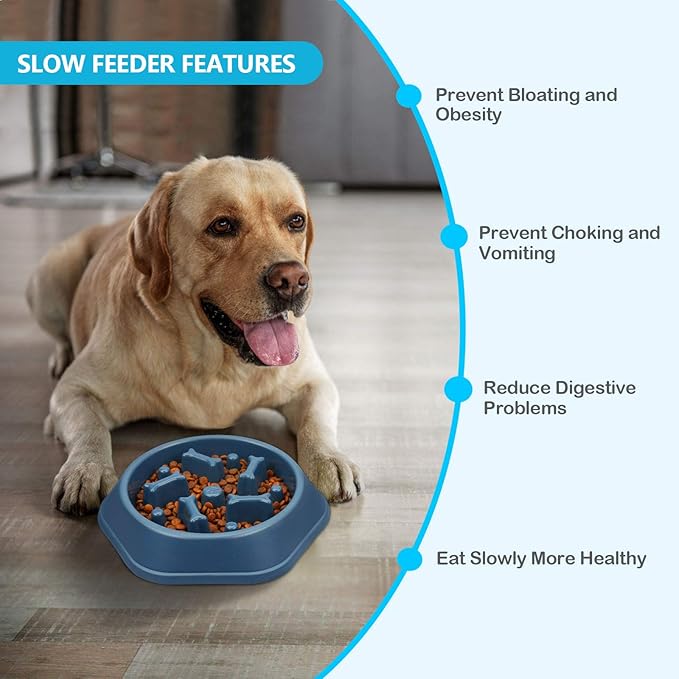 UPSKY 2PCS Slow Feeder Dog Bowl Anti-Chocking Slower Feeding Dog Puzzle Bowls, Interactive Bloat Stop Dogs Food Bowl Dishes Non-Slide Lick Treat Bowl for Small Medium Dogs (Blue+Green)