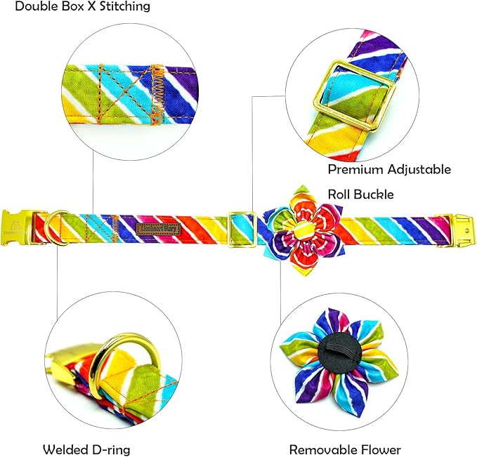 Lionheart glory Rainbow Dog Collar with Flower Colorful Summer Dog Flower Collar Heavy Duty Adjustable Pride Collars for Medium Dogs Pet Gift Holiday