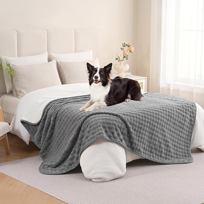 Waterproof Blanket for Bed Couch Sofa Car, Soft Leakproof Dog Blanket with 3D Bubble Pattern, Reversible Water Proof Pet Blankets for Dogs Cats Puppies (50"x60", Grey)