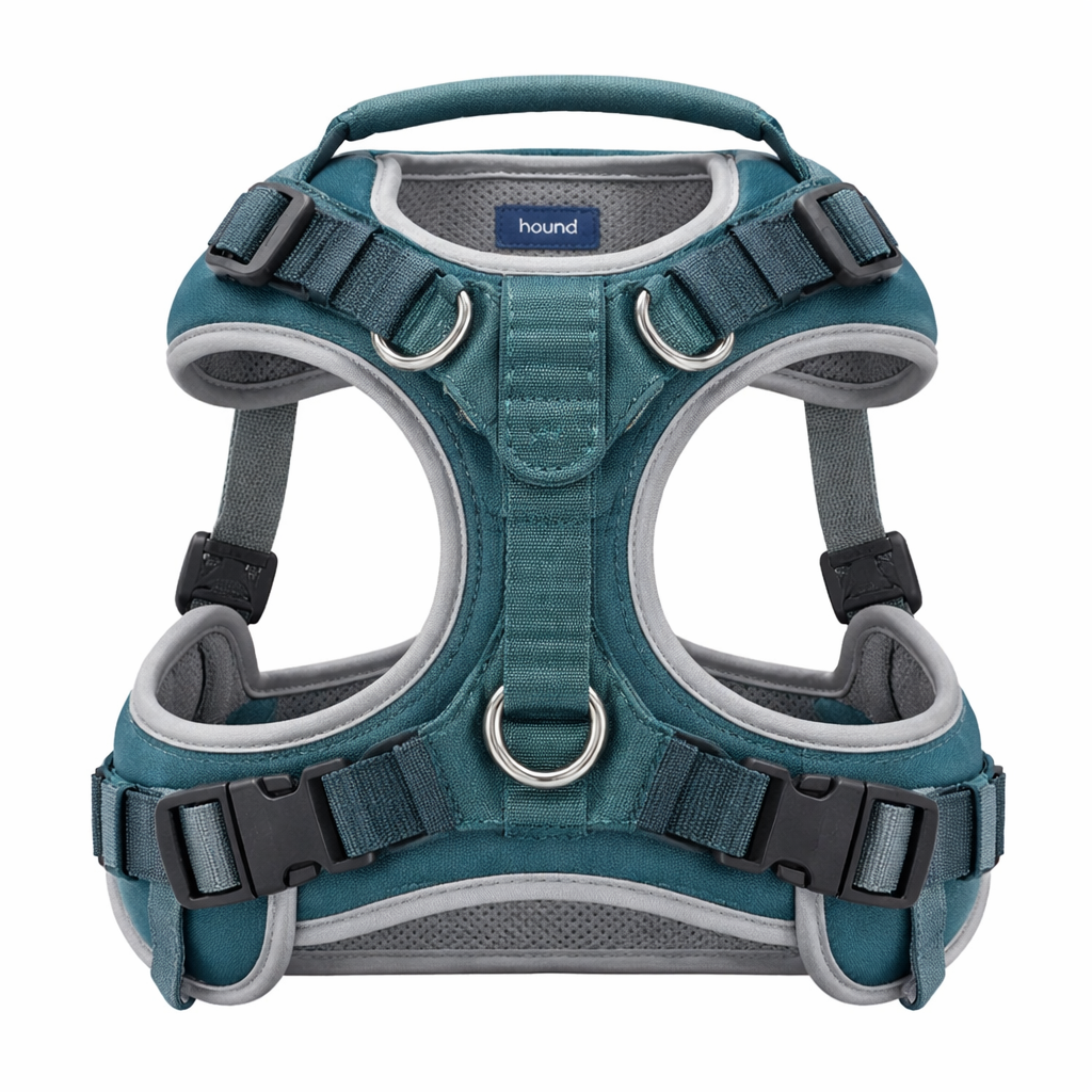 Step-In Harness