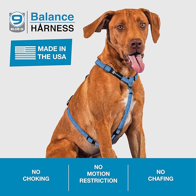 Blue-9 Reflective Buckle-Neck Balance Harness, Fully Customizable Fit No-Pull Harness with 3M Reflective Stitching, Ideal for Dog Training and Obedience, Made in The USA, Blue, Small