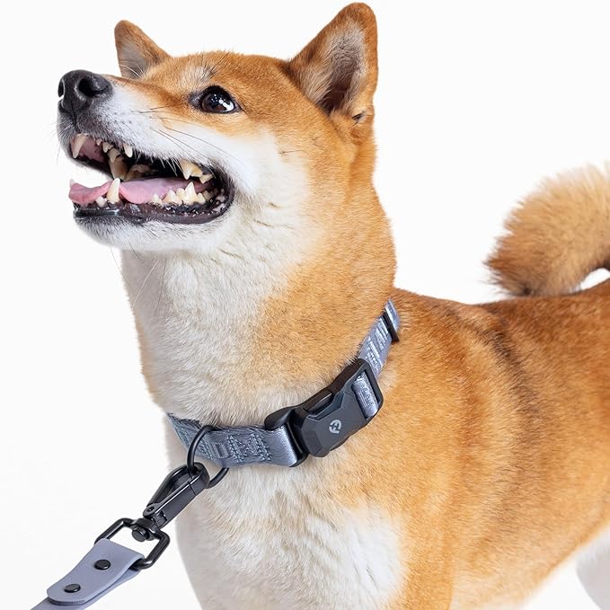 2026 New Edition, Fei & Eve MagEase Dog Collar - Patented Magnetic Buckles | Fur-Safe | Premium 210D Nylon | 450LB Escape-Proof | Adjustable Fit | Small (Dusk Blue)