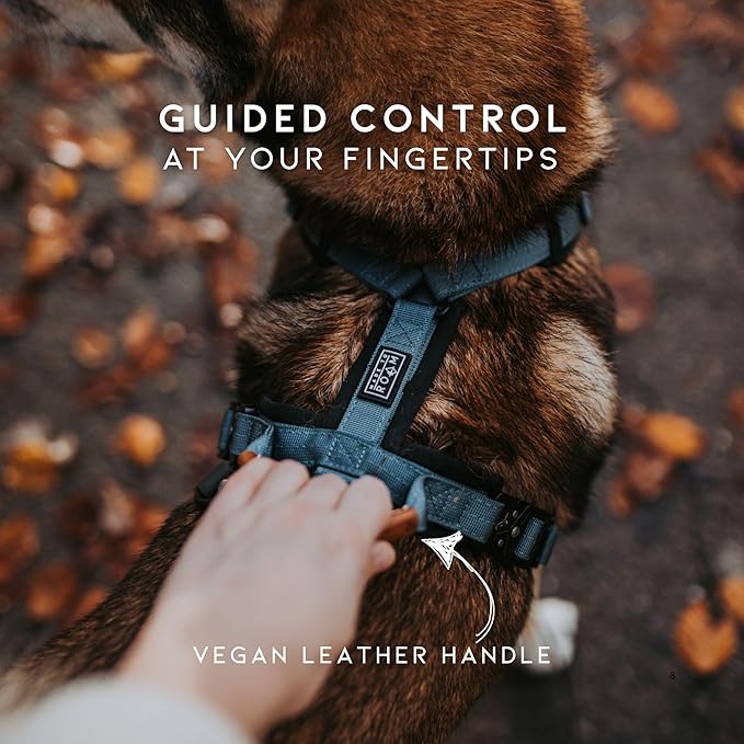 MADE TO ROAM Premium Explorer Harness - Y-Shaped Dog Harness with Adjustable Durable Nylon, Soft Padding, Metal Buckles and Leather Handle for Small, Medium, Large Dogs (New York Afterlight, Size 6)