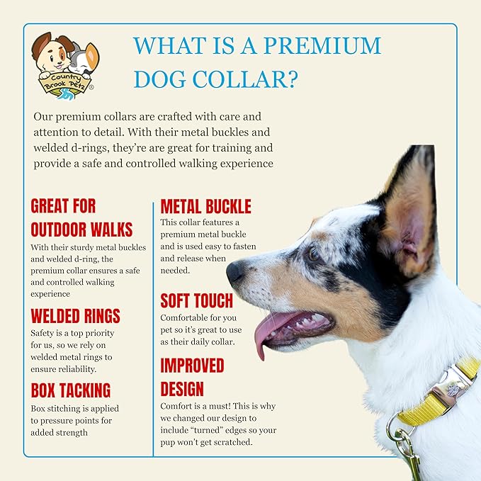 Country Brook Petz - Premium Nylon Dog Collar with Metal Buckle for Small Medium Large Breeds - 10+ Warm Colors (Extra Large, 1 Inch, Gold)
