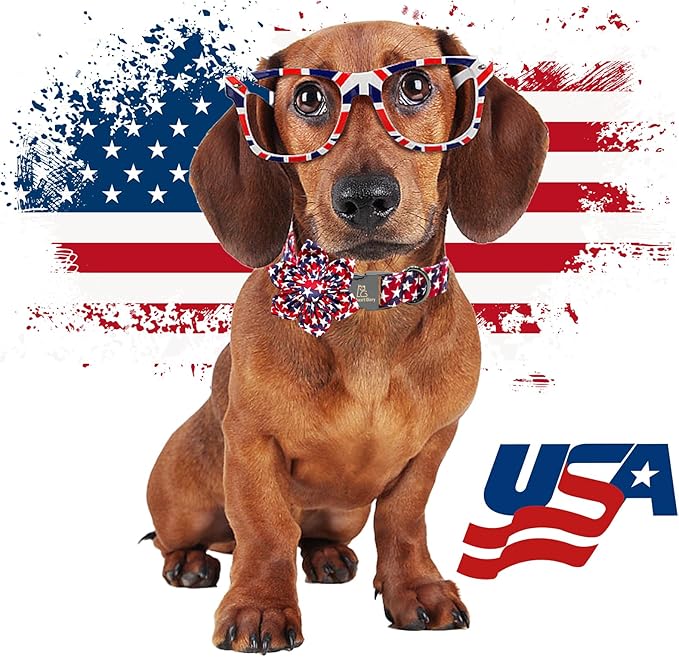 Lionheart glory American Flag Dog Collar 4 of July Dog Collars with Flower Independence Patriotic Dog Flower Collars Heavy Duty Adjustable Collar Flower for Small Dogs Pet Gift