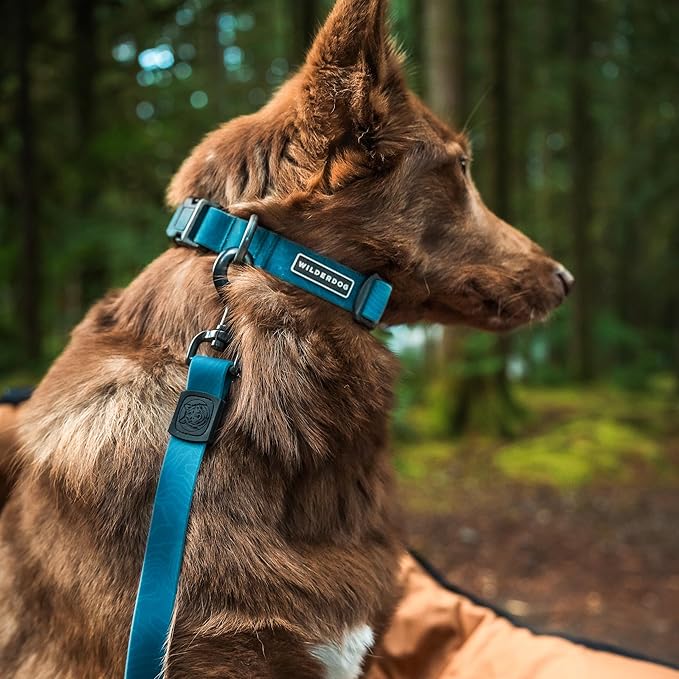 Wilderdog Waterproof Dog Collar - Repels Water & Dirt - Small 11"-15" - Pacific Blue