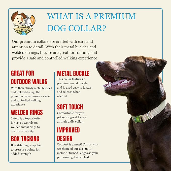 Country Brook Petz - Premium Nylon Dog Collar with Metal Buckle for Small Medium Large Breeds - 10+ Cool Colors (Small, 3/4 Inch, Charcoal)