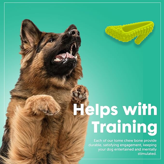 Dog Chew Toys for Aggressive Chewers - Treat Dispensing Chew Shoe Interactive Small Medium Dog Puzzle Toys