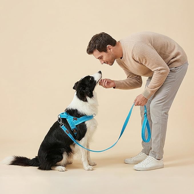 Didog Soft Flannel Padded Dog Vest Harness, No Pull/Quick Fit Reflective Dog Strap Harness, Easy for Training Walking (M:Chest 21-26", Blue)