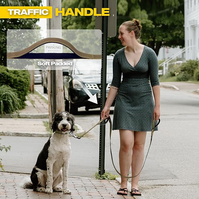Fida 5 FT Heavy Duty Dog Leash with 2 Comfortable Padded Handles, Traffic Handle & Advanced Easy Snap Hook, Reflective Walking Lead for Large, Medium & Small Breed Dogs, Brown