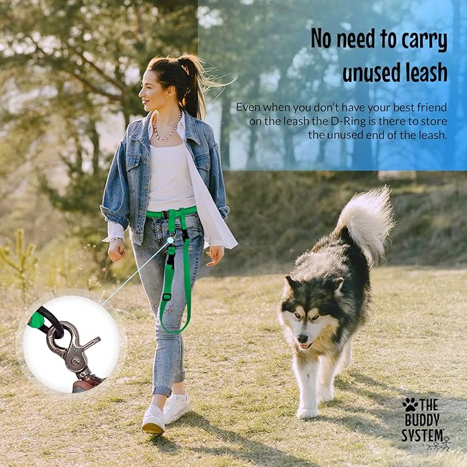 The Buddy System Hands Free Dog Leash, Adjustable Leash for Running, Jogging, Training and Service Dogs, Great for Small, Medium and Large Dogs, Made in USA (Green, Regular Belt (22"- 40" Waist))
