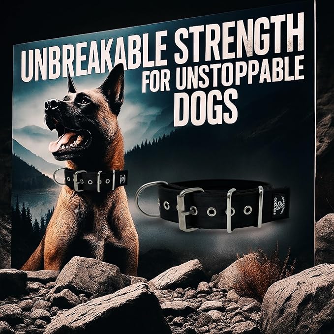 SparkDog Collars Working Dog Collar - 2" 4ply Padded Dog Collar Heavy Duty Stainless Steel Tactical Seatbelt Wide Buckle Collar (Black 2.0, 16-21" Large)