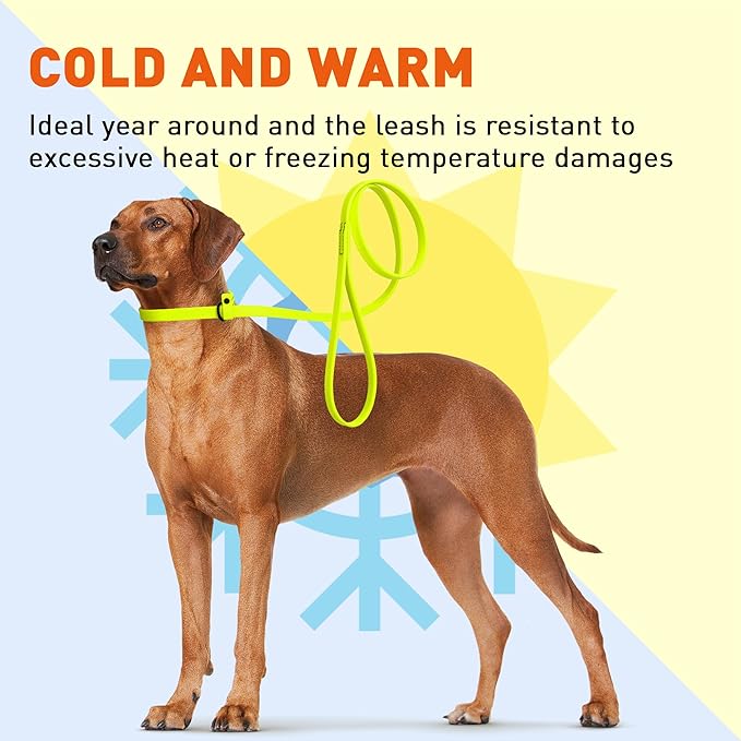 Dogline Biothane Slip Dog Leash - for Small, Medium and Large Dogs - Odor Free Slip Lead, Heavy Duty and Durable Material Kennel Lead - Safety Yellow - 5ft L x 5/8in W