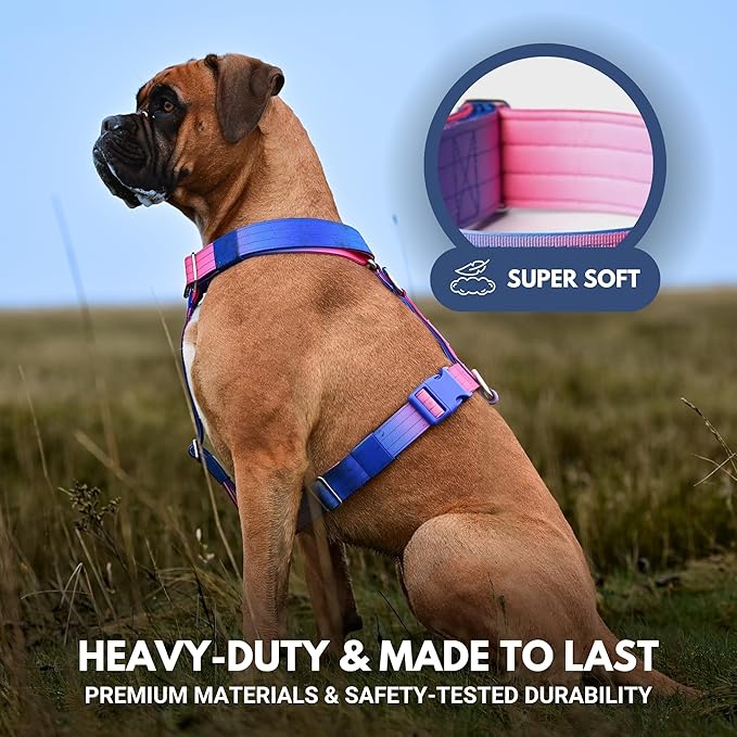 Spark Paws No Pull Dog Harness for Large Dogs, Heavy Duty Dog Harness for Big Strong Breeds, Adjustable, Y Shaped Padded Halter Design with Front Clip - Snow Cone - S