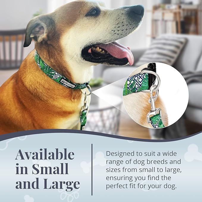 Lucky Love Dog Leash – Soft, Durable, and Comfortable Leash with Vibrant Patterns – Stylish and Long Lasting for Small Male and Female Dogs – Laguna, Small