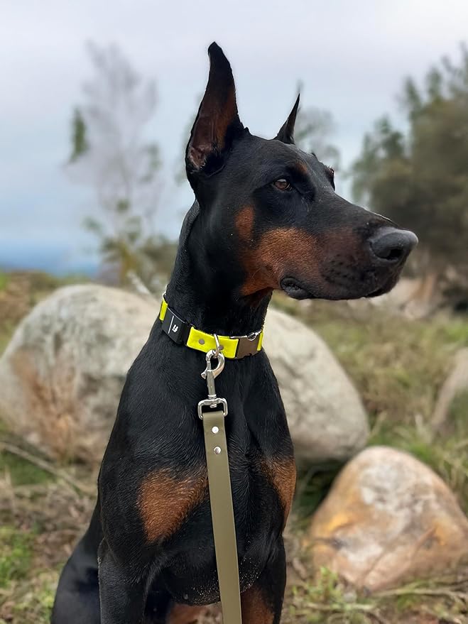 6ft Long Leash for Dogs - 1000lb Strength, Waterproof with Stainless Steel Hardware, Durable Long Dog Leash for Large Breeds