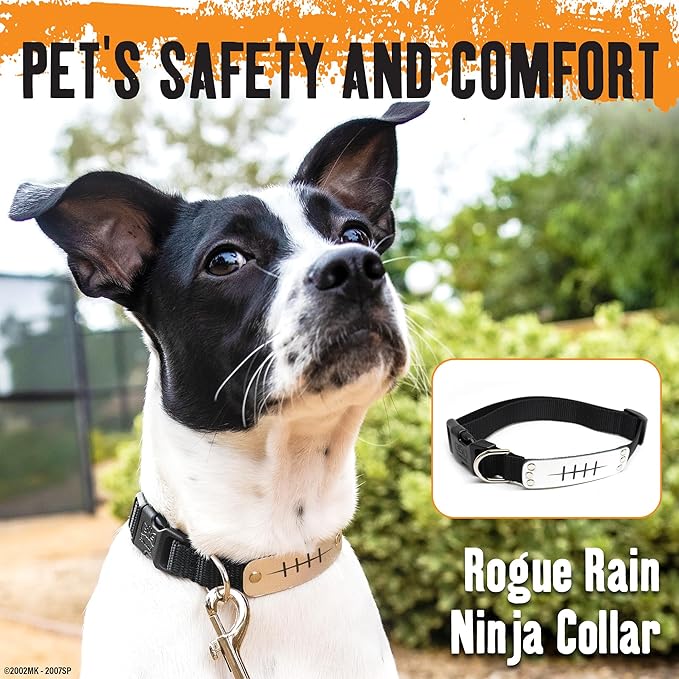 Naruto Dog Collar for Large Dogs, Medium, Small, XS Puppy Collars: Officially Licensed Naruto Shippuden Anime Dog Collar Pet Accessories, Naruto Gifts for Boy or Girl Dog (Black, Rogue Rain, Large)