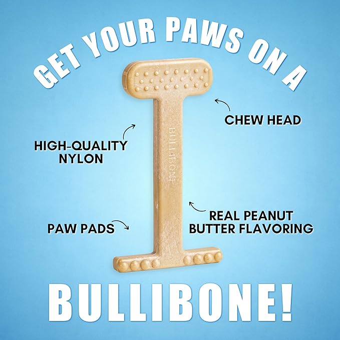 Bullibone Nylon Dog Chew Toy for Aggressive Chewers - Dental Hygiene Bone with Peanut Butter Flavor, Durable Tough Chew Toys for Large Dogs, Indestructible Dog Bone - 2 Pack