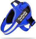 PawPawify Custom No Pull Dog Harness with Name and Phone Number, Heavy Duty Personalized Pet Vest to Prevent Tugging, Pulling, or Choking, Training and Walking (New Blue, XS (5-9LBS))