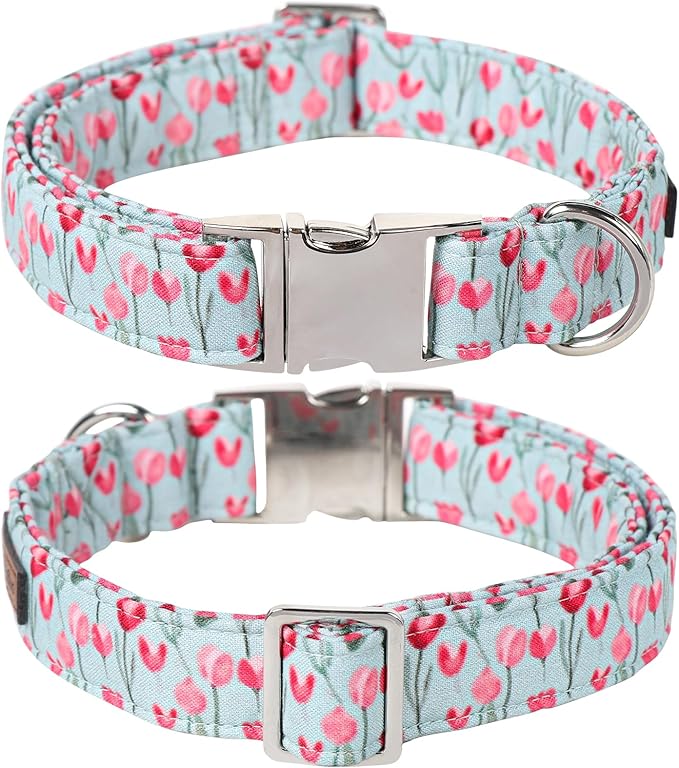 Lionet Paws Design Dogs Collar Cute Adjustable Flower Dog Collars for Girl Female Small Medium Dogs with Tulips M