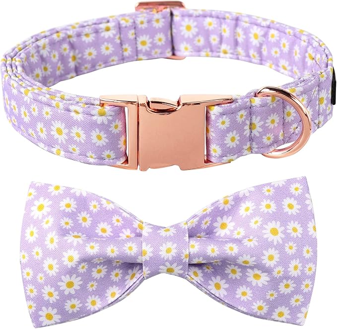 Lionet Paws Spring Dog Collar with Bowtie, Soft Comfortable Adjustable Cute Daisy Bowtie Collar for Dogs Female Gift, Medium, Neck 13.5-22 inches
