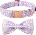 Lionet Paws Spring Dog Collar with Bowtie, Soft Comfortable Adjustable Cute Daisy Bowtie Collar for Dogs Female Gift, Medium, Neck 13.5-22 inches