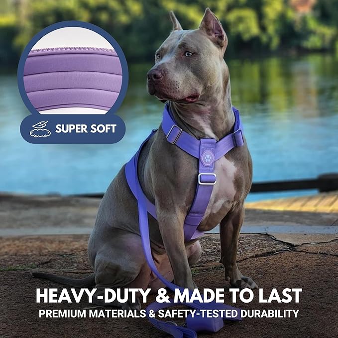 Spark Paws No Pull Dog Harness for Large Dogs, Heavy Duty Dog Harness for Big Strong Breeds, Adjustable, Y Shaped Padded Halter Design with Front Clip - Purple - Large