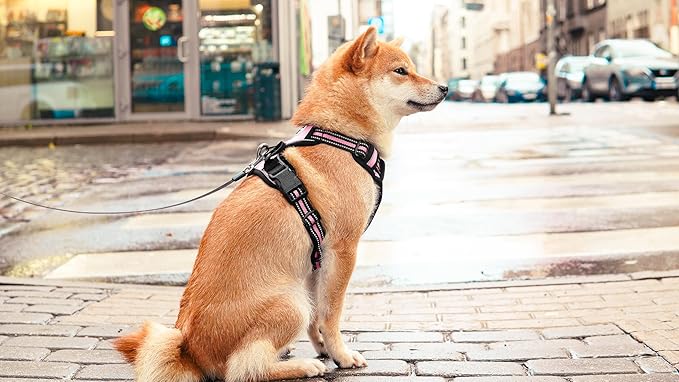 Ziggy Pet Dog Harness Adjustable Nylon Mesh Vest with Leash Clips (Pink, Large)