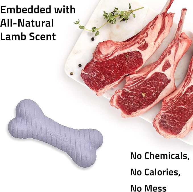 Playology Dog Toys | Dual Layer Bone Durable Chew Toy Bone for Dogs | Jumbo Lamb Scented Toy - Easy to Clean and Made from Non Toxic Materials