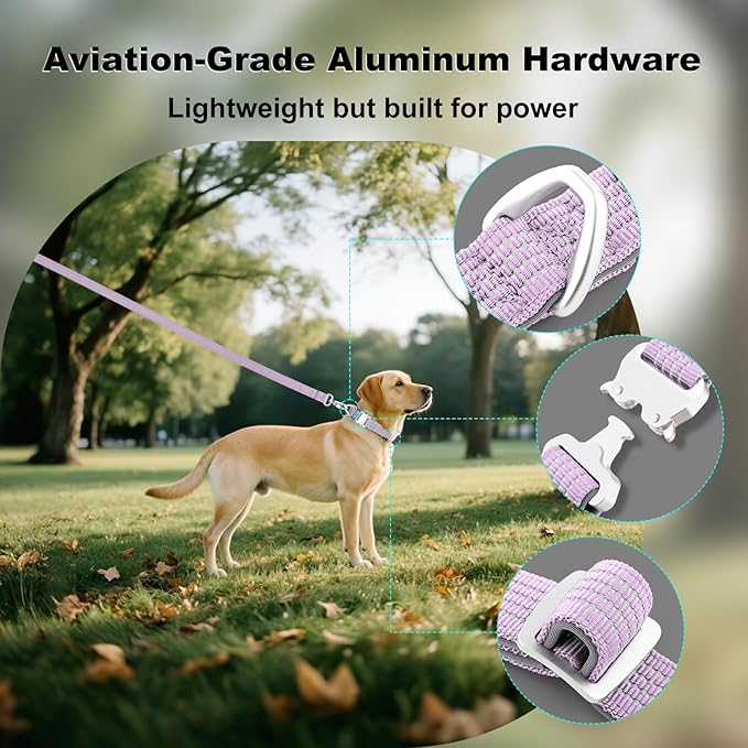 Plutus Pet Reflective Dog Collar with Aviation Aluminum Buckle, Neoprene Padded for Comfort, Lightweight, Heavy Duty Nylon Collar for Puppy Small Medium Large Dogs (Lilac Purple, M)