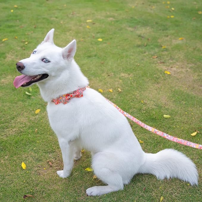Tunkoo Dog Collar Elegant Floral Bow Tie Unique Style Super Soft Comfy Adjustable Cotton Collar with Premium Metal Buckle, for Puppy Small Medium Large Pet Supplies, M