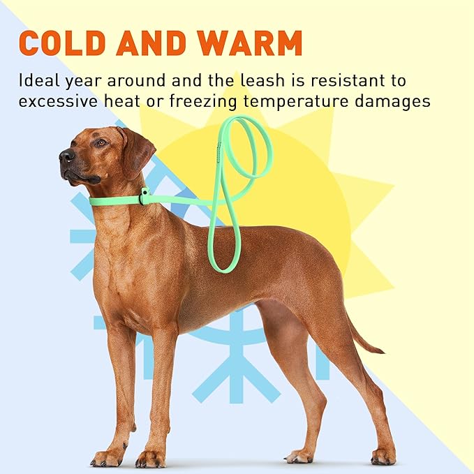 Dogline Biothane Slip Dog Leash - for Small, Medium and Large Dogs - Odor Free Slip Lead, Heavy Duty and Durable Material Kennel Lead - Sea Foam Green - 5ft L x 3/8in W