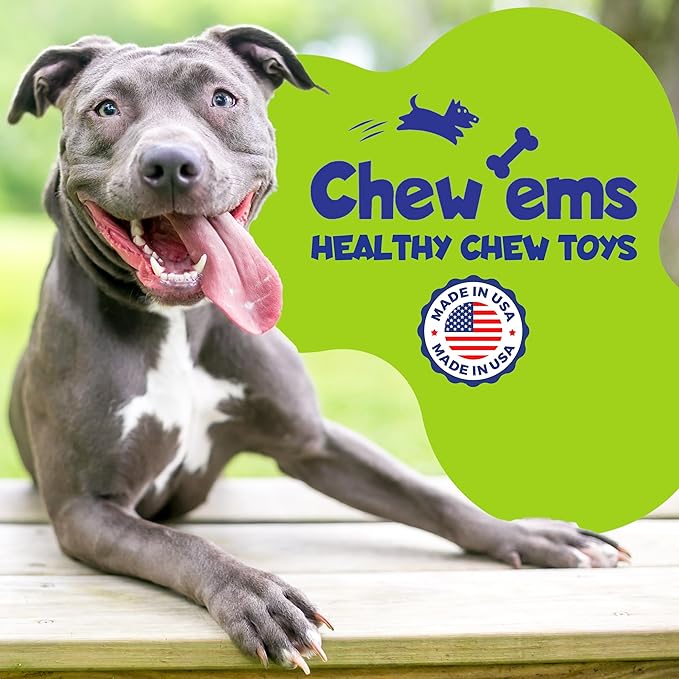 Chew’ems X Bone Dog Chew – Long-Lasting Beef Flavor Treats for Aggressive Chewers – Rawhide-Free, Durable Dental Chews – Giant Size