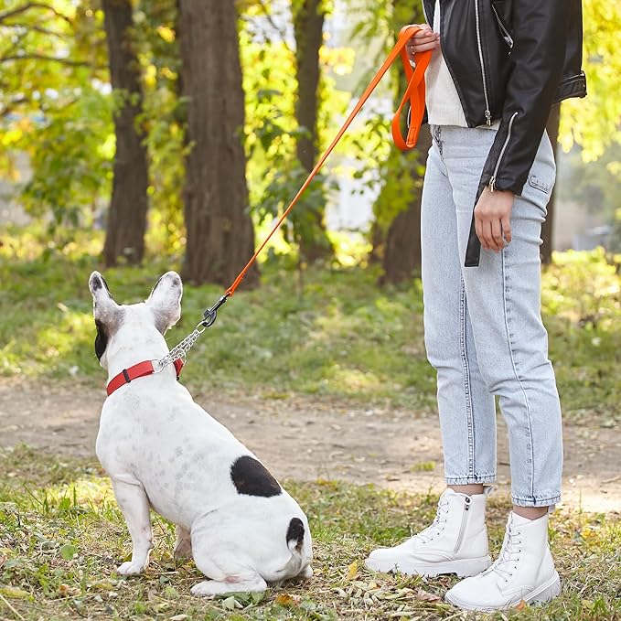 Dogline Biothane Waterproof Dog Leash Strong Coated Nylon Webbing with Black Hardware Odor-Proof Easy to Clean High Performance for Small or Large Dogs Made in USA 4 or 6 ft Lead, Hunter Orange