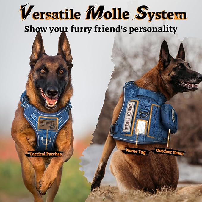rabbitgoo Dog Harness Small Sized No Pull, Tactical Service Pet Vest with Molle and Control Handle, Adjustable and Reflective Military Harness for Easy Walking and Training, Blue, S