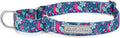 Lucky Love Dog Martingale Dog Collar - Adjustable, No-Slip, Comfortable, Durable, Soft Webbing & Stylish Patterned Collar for Male and Female Dogs Ideal for Training & Walking - Carriebelle, Medium
