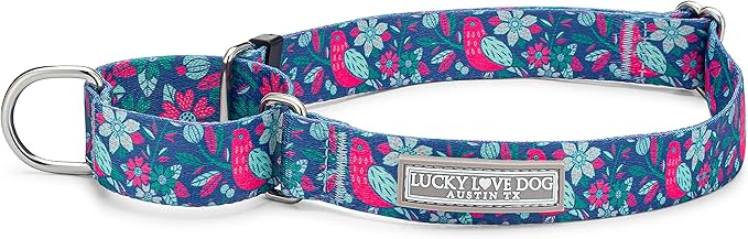 Lucky Love Dog Martingale Dog Collar - Adjustable, No-Slip, Comfortable, Durable, Soft Webbing & Stylish Patterned Collar for Male and Female Dogs Ideal for Training & Walking - Carriebelle, Small