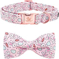 Elegant little tail Easter Dog Collar, Bunny Carrots Pet Collar with Bowtie Cute Pink Pet Bow Puppy Collars Adjustable Dog Collars for Small Dogs