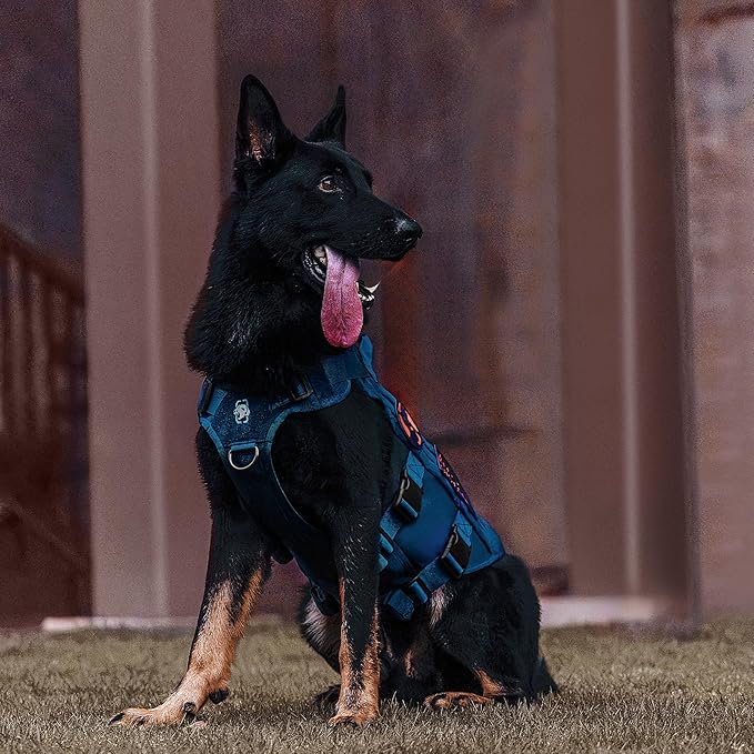 OneTigris No Pull Tactical Dog Harness for Small Medium Dogs, Mesh Design Service Dog Vest Breathable Military Dogs Molle Vests with Handles, Harness for Walking Hiking Training (Blue, M)