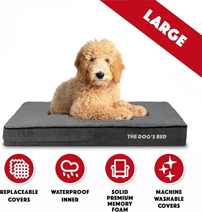 The Dog’s Bed Orthopedic Memory Foam Dog Bed Mattress, Plush Fabric, Grey Plush, Large, 4-Inch