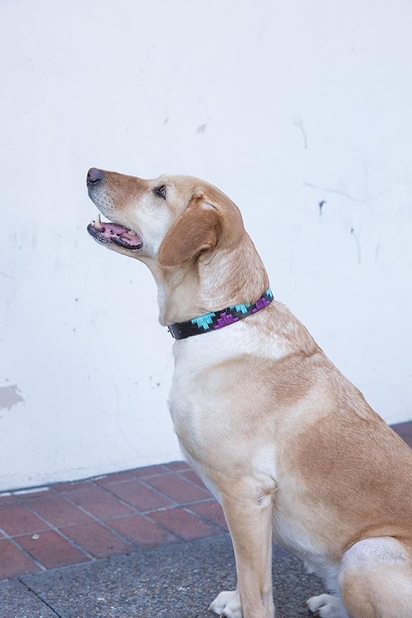 Gaucho Goods Soft Leather Dog Collar - Miami (L)