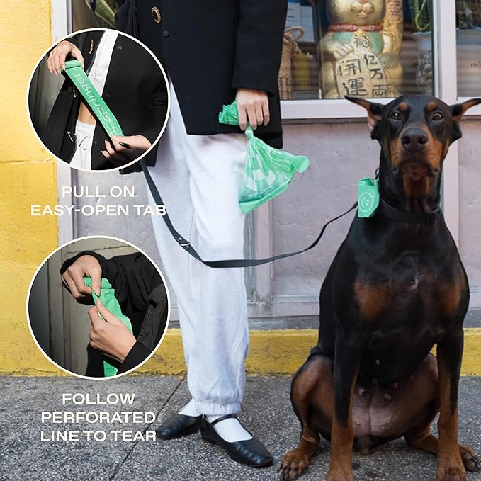 Springer Dog Poop Bag Dispenser Holder with Bags, No Dangle Design for Leash, Premium Thick Waste Bags with Easy to Open Tab, Unscented, 1 Dispenser and 15 Count