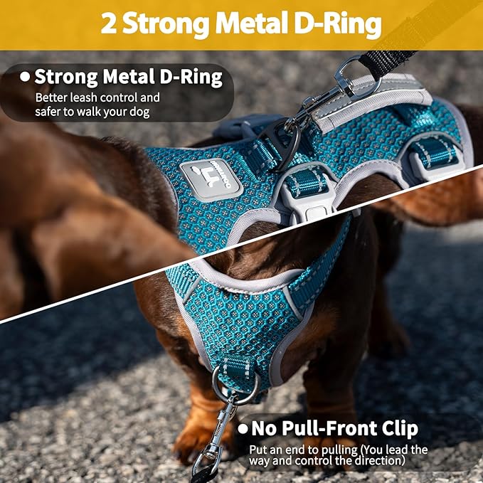 Huntboo Escape Proof Dog Harness, No Pull Reflective Harness with Lift Handle, Adjustable Pet Vest with Front and Back Leash Clips for Small Medium Large Dogs Walking Hiking Training (Teal,XL)