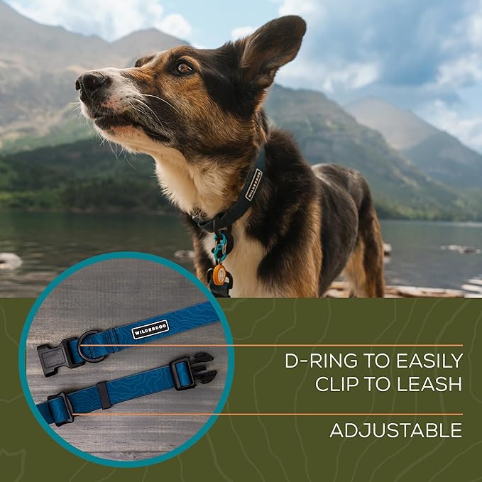 Wilderdog Waterproof Dog Collar - Repels Water & Dirt - Medium 13"-18" - Pacific Blue